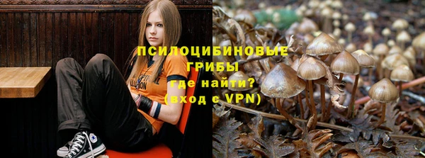 ALPHA PVP Арсеньев