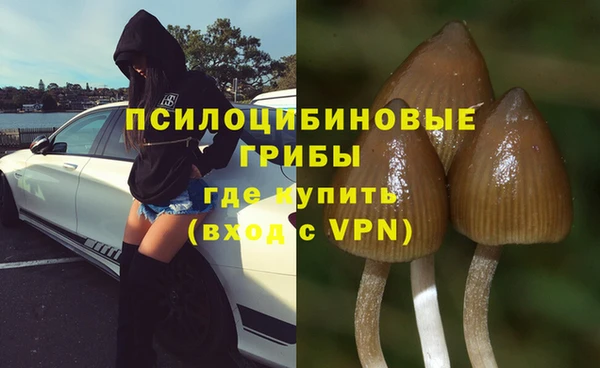 ALPHA PVP Арсеньев